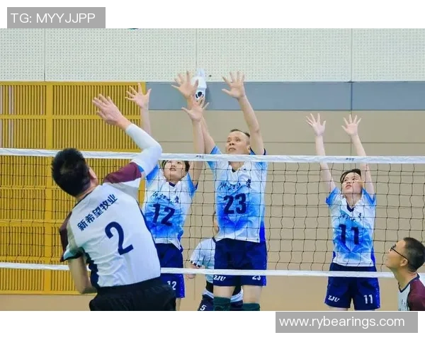 杭州排球队的奋斗历程与杯赛荣耀背后的成长故事